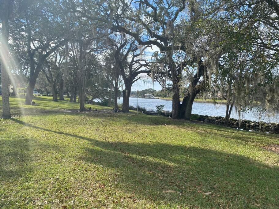 Chic Pad In Center Of Seminole Heights-322 Lejlighed Tampa Eksteriør billede