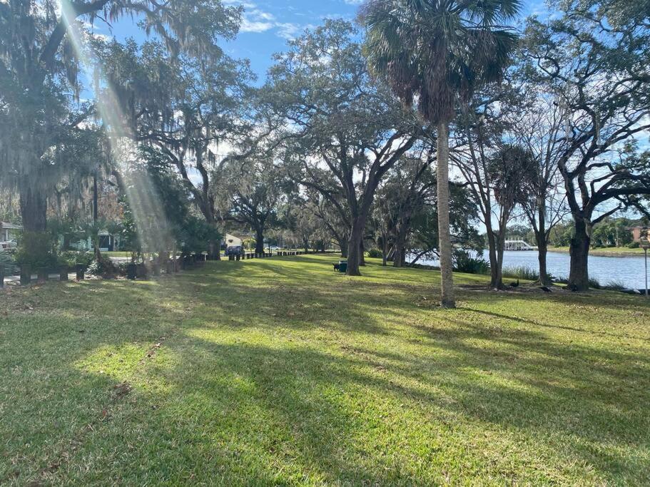 Chic Pad In Center Of Seminole Heights-322 Lejlighed Tampa Eksteriør billede